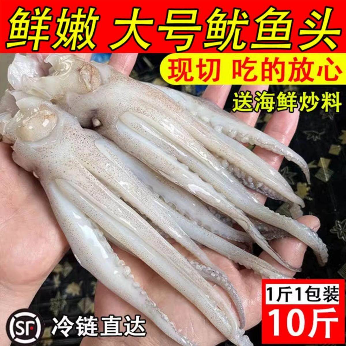 鱿鱼新鲜鱿鱼头冷冻现切鱿鱼须海捕大尤鱼冷冻生鲜铁板烧烤食材