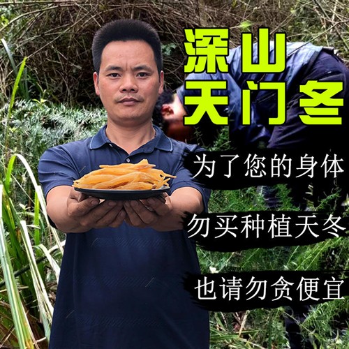 贵州正品深山天门冬中药个大天冬去皮无硫泡酒料粉片膏 500g克