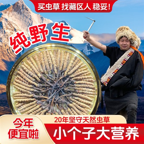 青海正品祁连头期非西藏那曲玉树冬虫夏草自己吃非断草产地礼盒装
