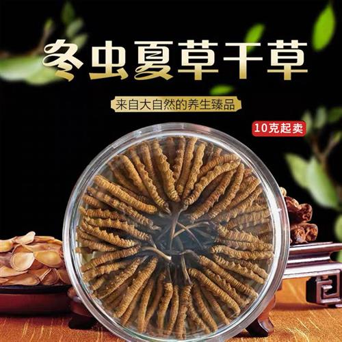西藏虫草正宗那曲冬虫夏草礼盒装1500头规格3根一克(30克起卖)