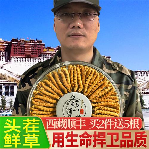 西藏那曲冬虫夏草官方旗舰店正品头期新鲜虫草礼盒