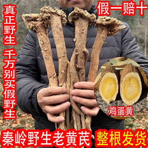 纯野生黄芪特级甘肃500g北芪条泡水无硫当归党参麦冬秦岭整根黄芪