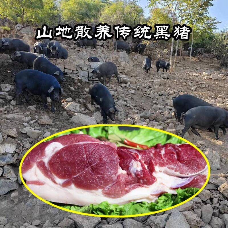 土猪肉黑猪肉山地散养农家传统黑猪黑毛猪新鲜五花肉腿肉笨猪肉