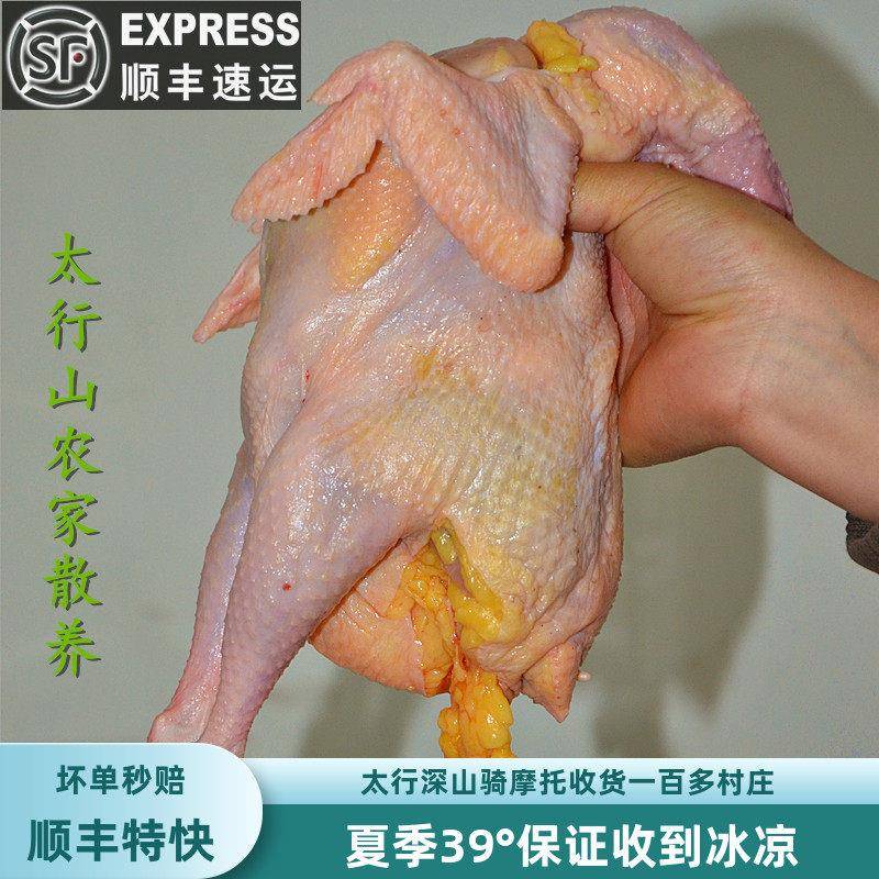 3年老母鸡正宗土鸡农家散养走地鸡柴鸡乡下笨鸡新鲜整只月子鸡肉