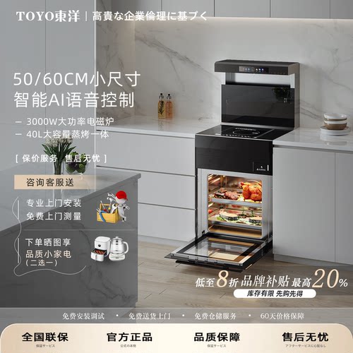 TOYO東洋（日本）500/600mm家用公寓小户型小尺寸单灶集成灶