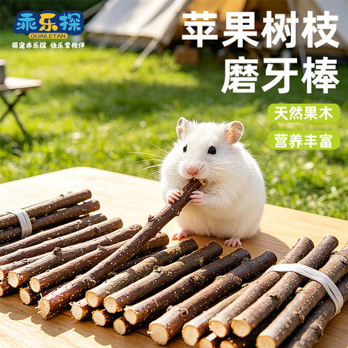 乖乐探金丝熊仓鼠通用磨牙棒