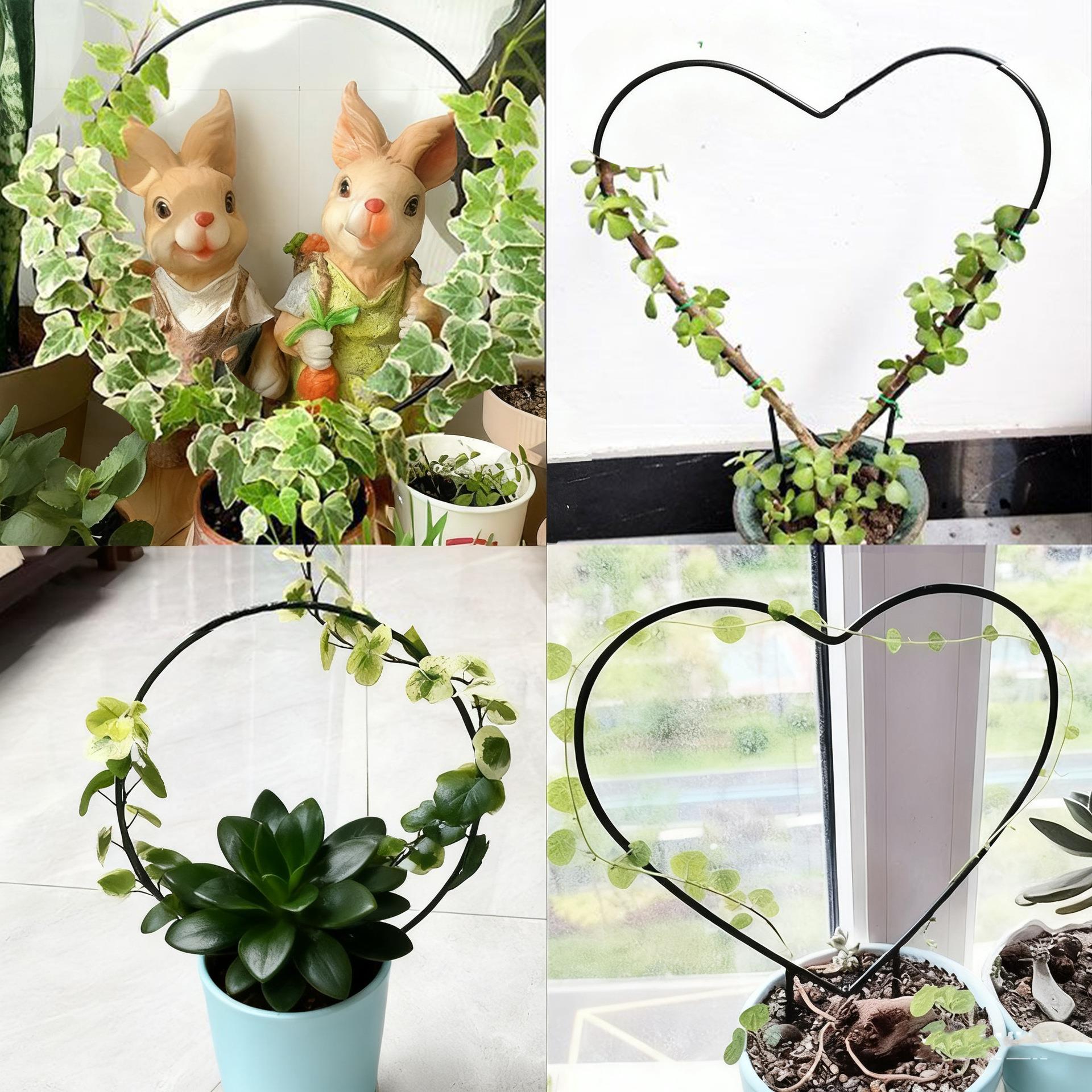 山乌龟绿植桌面花架龟甲龙爬藤架绿萝攀爬架子圆形花