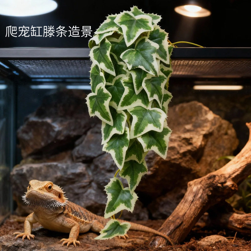 灵儿宠物造景/装饰鱼缸造景藤