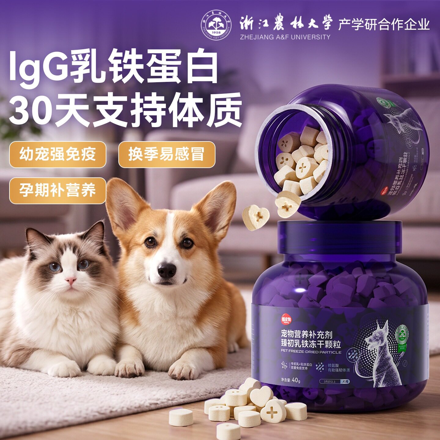 狗狗乳铁蛋白冻干老年犬猫咪复合