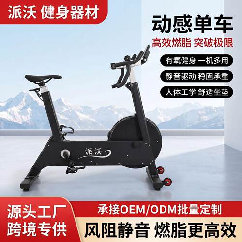 AIRBIKE风阻动感车直立式静音可调节阻力健身车有氧C2风阻车