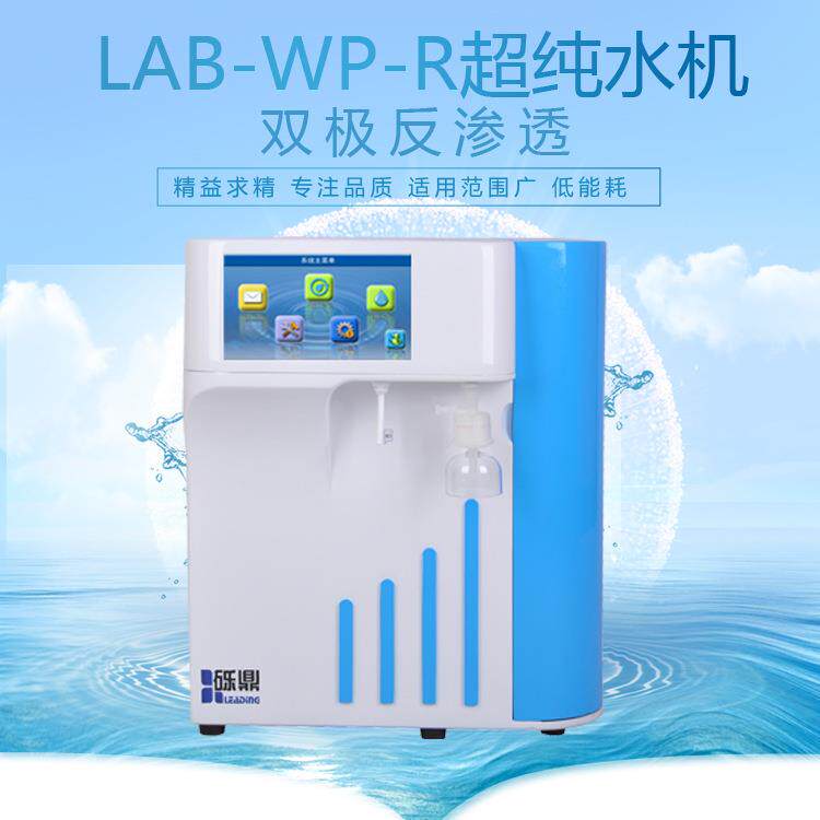 产超纯水仪10-30升双极反渗透超纯水国机LAB-W755P-R-VF端综合型