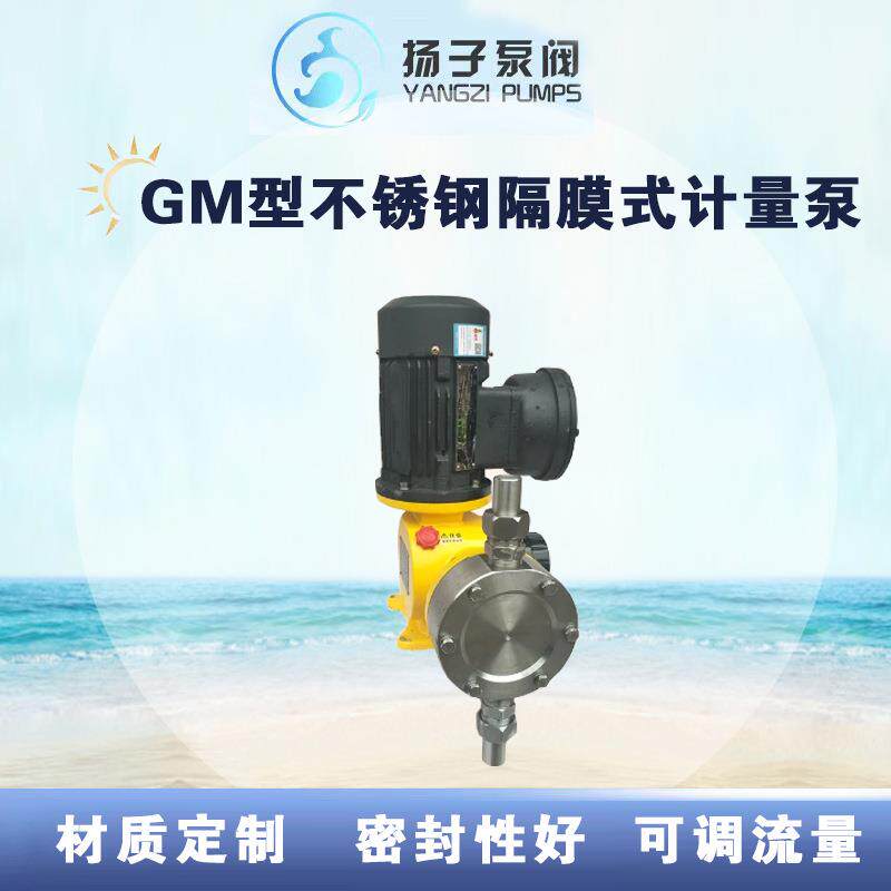 GM型计械隔膜扬子泵阀式量泵 加机药泵 防腐蚀高精度调不锈钢工程