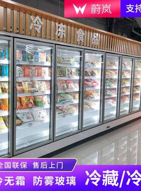 立式冷冻柜双门冰箱便利店水饺速冻柜可调冷藏保鲜柜超市商用冰柜