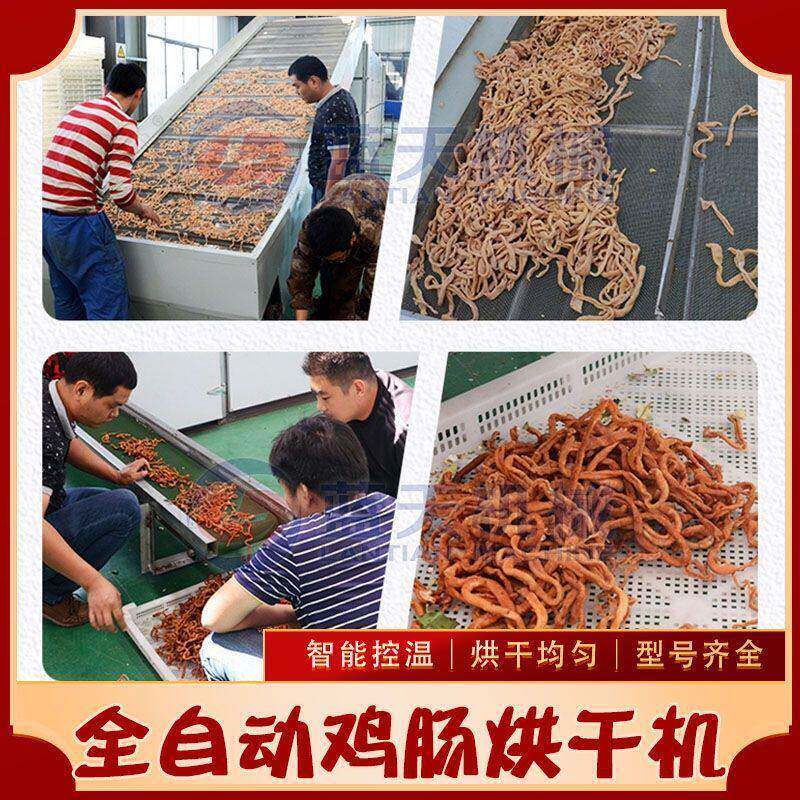 全自动鸡肠烘干机大型带式鸡肠子干燥设备智能网带材烘干机