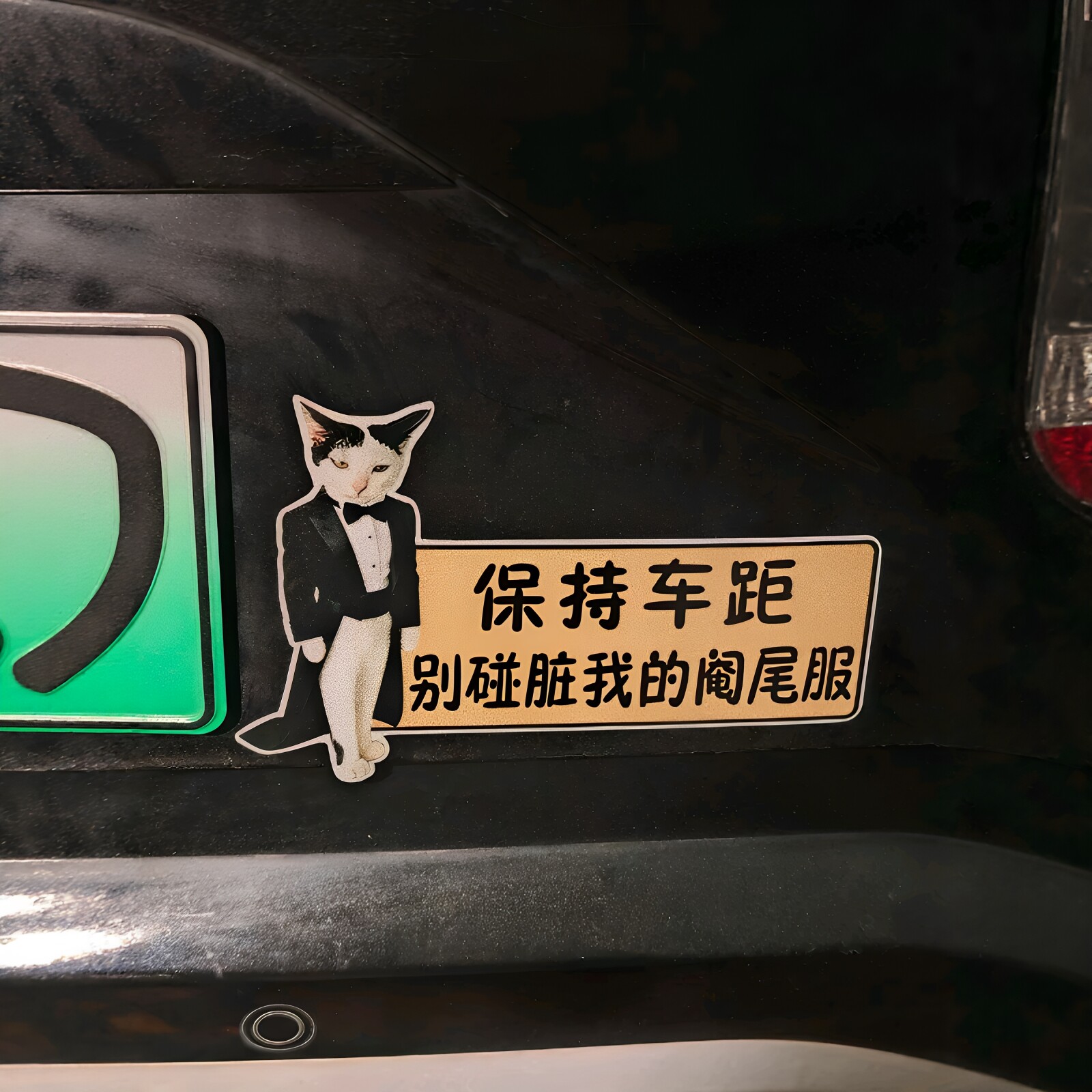 阉尾服绅士！搞怪奶牛猫车贴赶阉会参加蛋宰派对磁吸贴汽车装饰贴