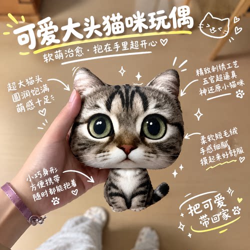谁能拒绝这个大头小猫啊！