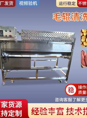 根茎果蔬贝类材毛辊清洗机食品净菜加工厂用去泥刷洗设备