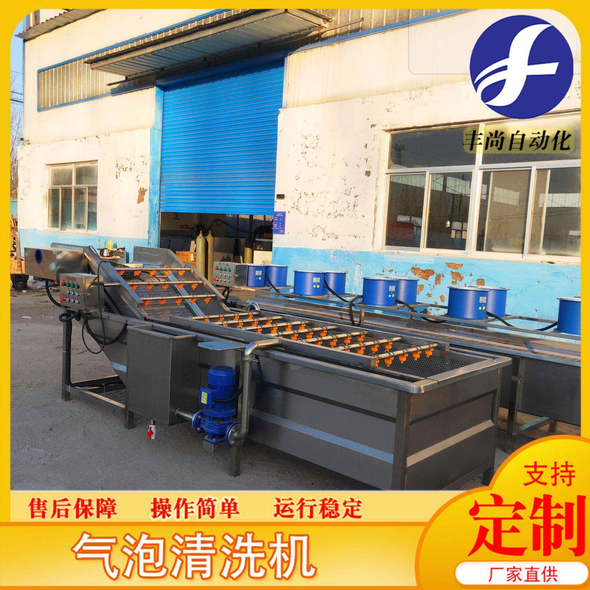 商用大小型RHE全动自泡清洗机机设备 蔬菜清洗 枸杞蓝气莓清洗机