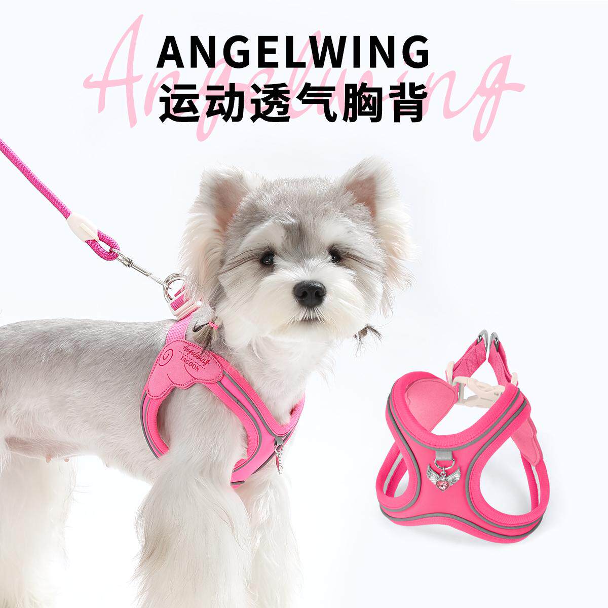 背心式小狗狗牵引绳小型犬宠物胸背带防挣脱遛狗绳ZP