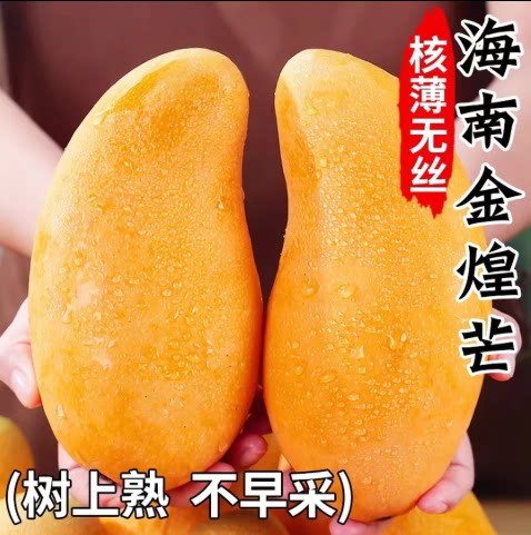 【下单立减50】正宗海南三亚金煌芒新鲜应季芒果核小皮薄多汁