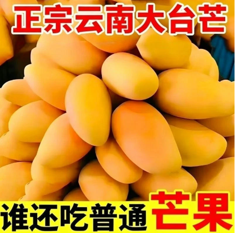 【下单立减50】云南芒果大台芒果水果产地直发当季大台农新鲜