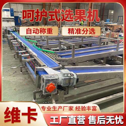 枇杷无损选果机重量分选机甜瓜瓜人参果全自动水果分拣机