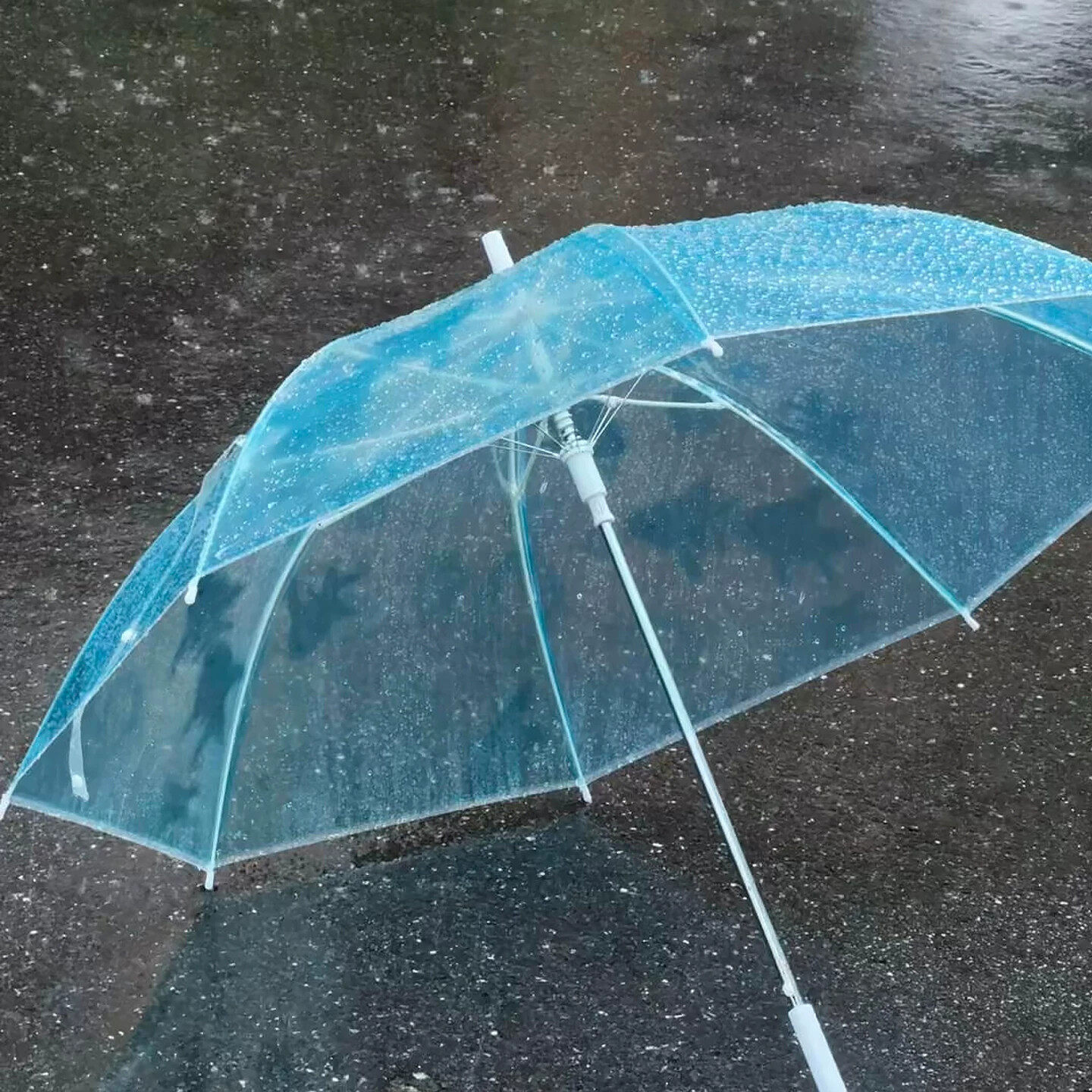 氧气小鱼长柄透明防晒晴雨伞