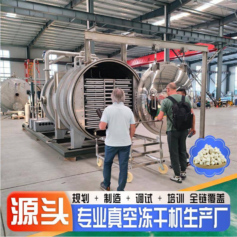 鸡胸肉蛋黄真空冷冻干燥机中药草虫草燕窝冻干机保健品低温冻干