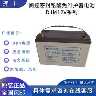 UPS应急供电 LEOCH理士蓄电池M12100S铅酸免维护12V100AH直流屏