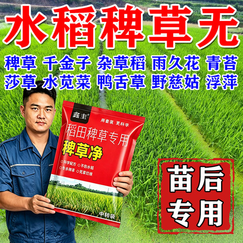 正品水稻稗草渗透剂水稻除草剂禾阔双除水稻专用稗草净老牌子批发