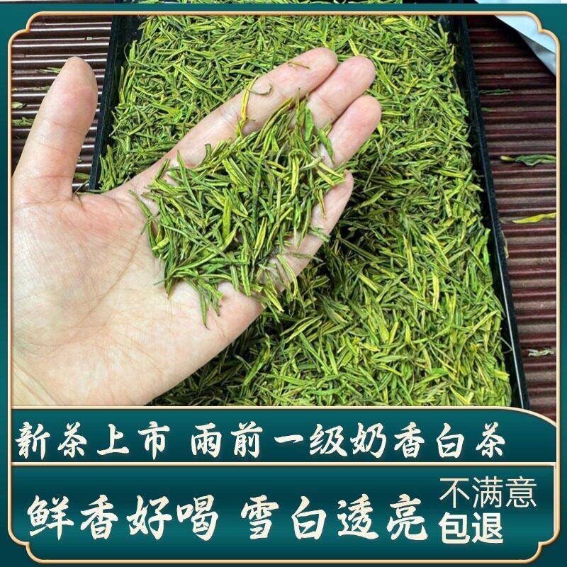 【雨前一级奶香白茶】新茶浓香高山绿茶茶叶御子恒散装礼盒
