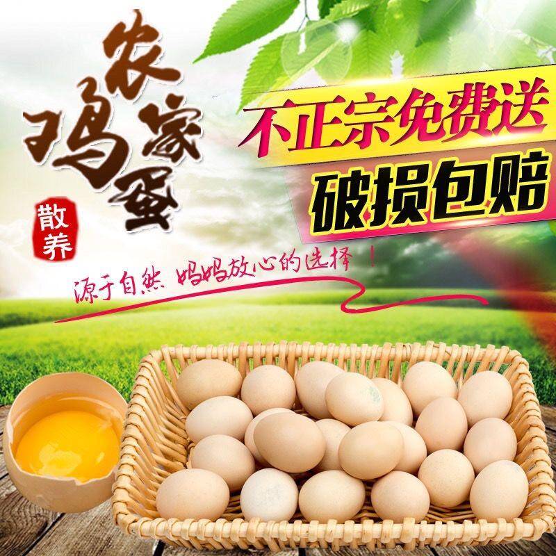 正宗土鸡蛋农家散养新鲜孕妇儿童辅食富硒农村笨鸡蛋虫草蛋立夏蛋