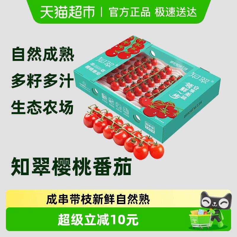 【知翠】红串收樱桃小番茄1kg自然熟小柿子新鲜水果生吃西红柿