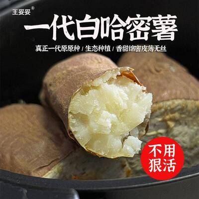 王妥妥®【结束8月见】山东哈密冰糖薯新鲜沙地白心蜜薯奶油