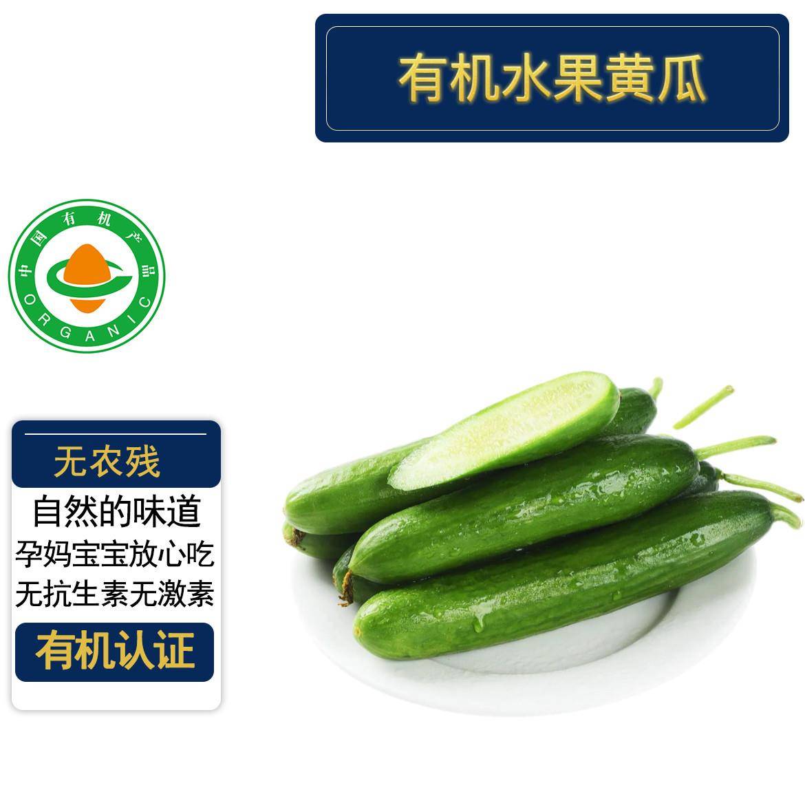 有机水果黄瓜5斤 有机认证无农残 现摘现发新鲜蔬菜食用天然种植