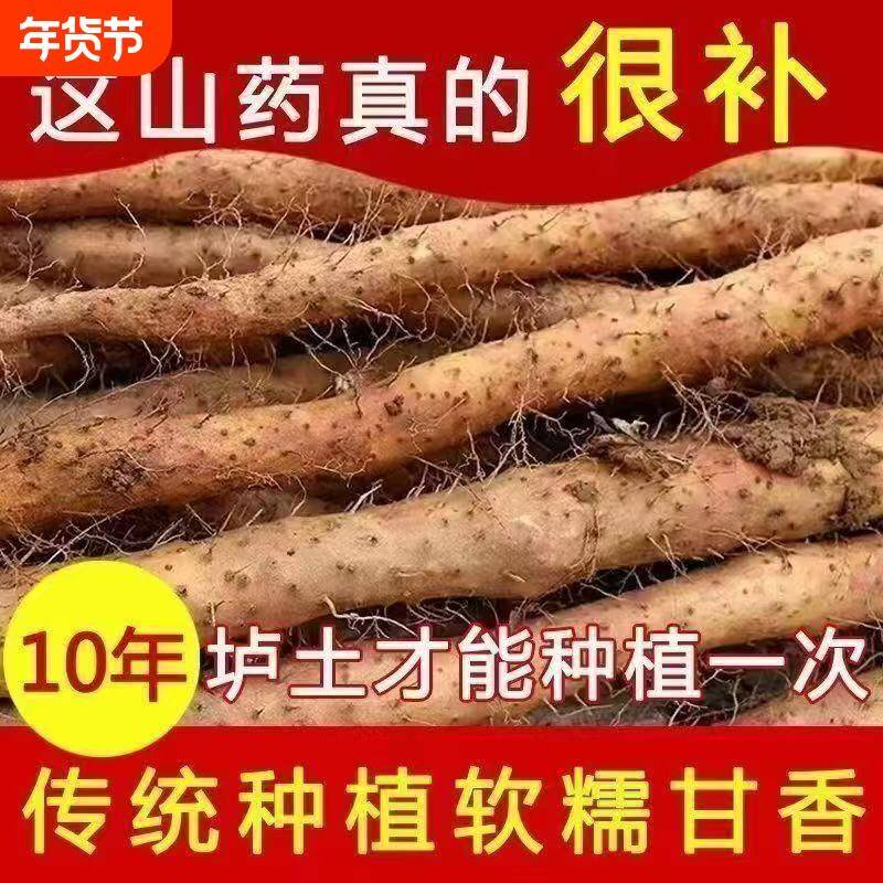 新鲜山药铁棍淮山药正宗铁杆怀山炖汤食材现挖小白嘴山药产地直发