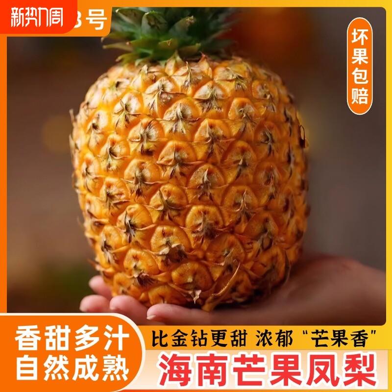 海南芒果凤梨台农23号芒果香小凤梨礼盒顺丰当季新鲜水果果园直发