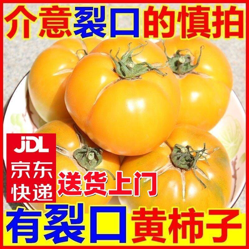 【京东宅配到府】内蒙古现摘裂口五原黄柿子黄番茄沙瓤大番茄