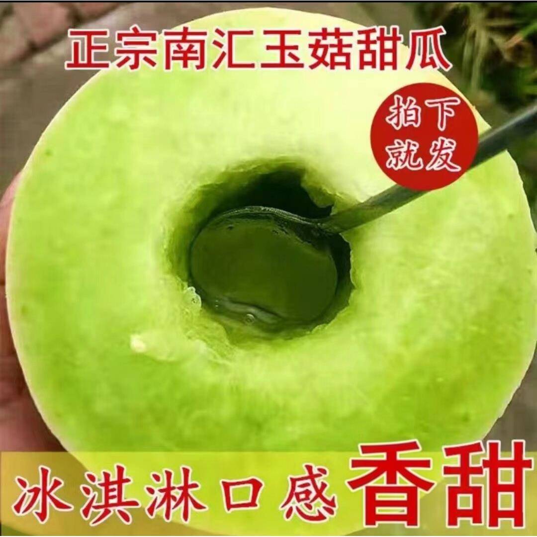 上海南汇白玉菇甜瓜新鲜水果当季冰淇淋新玉姑甜瓜玉茹玉谷蜜香瓜