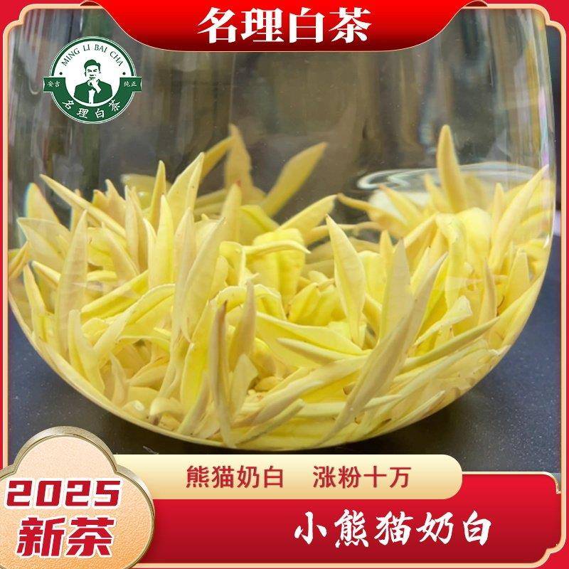 名理白小熊猫奶白茶[2025新茶]黄金芽绿茶叶简装特级安吉原产白茶