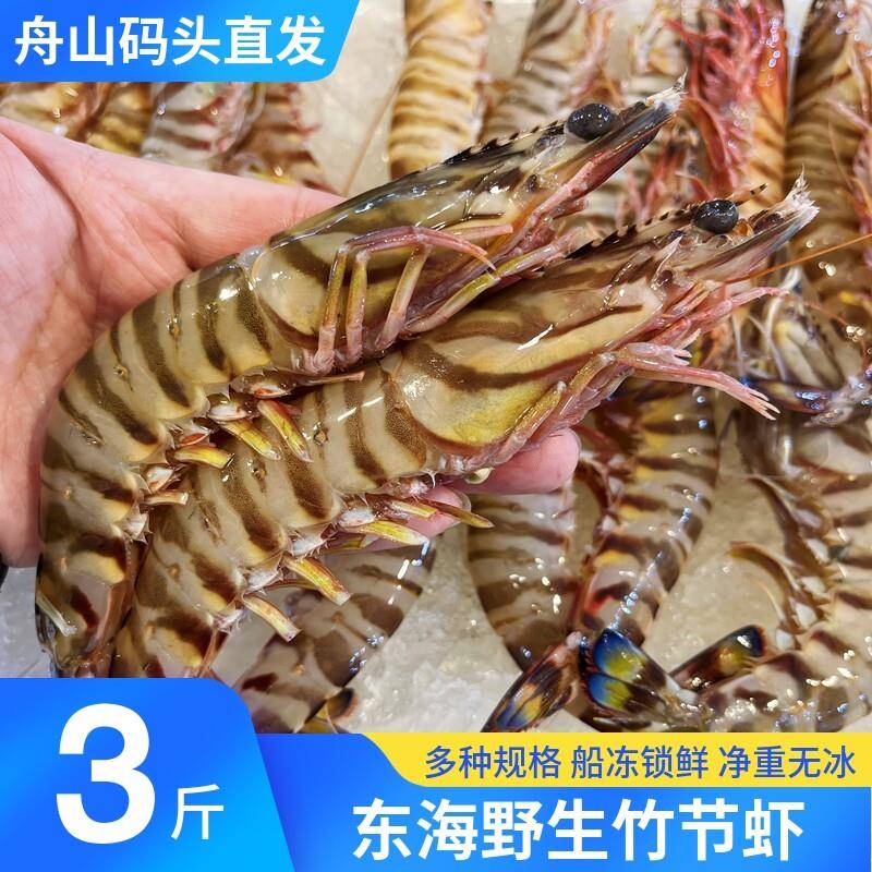 舟山竹节虾海捕斑节虾鲜活冷冻基围虾超大虎虾大海虾海鲜水产食用
