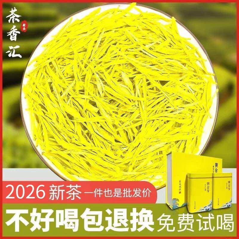 2026新茶正宗黄金芽茶叶高山嫩芽春茶雨前珍稀白茶绿茶浓香罐装