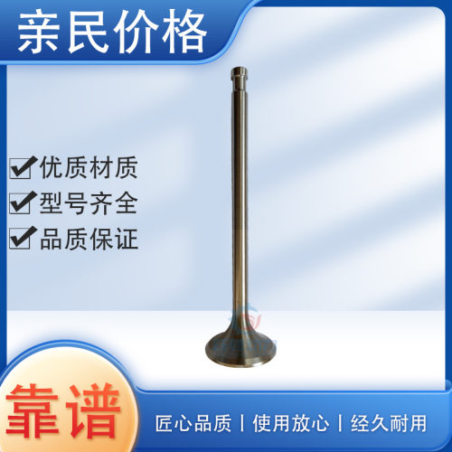 胜动柴油机CHIDONG驰动济南Z8V190B柴油机排气阀门12VB.03.22