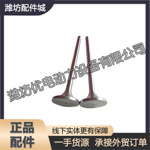 重庆6250潍柴8250船用柴油发动机进排气阀625003000088进排气门