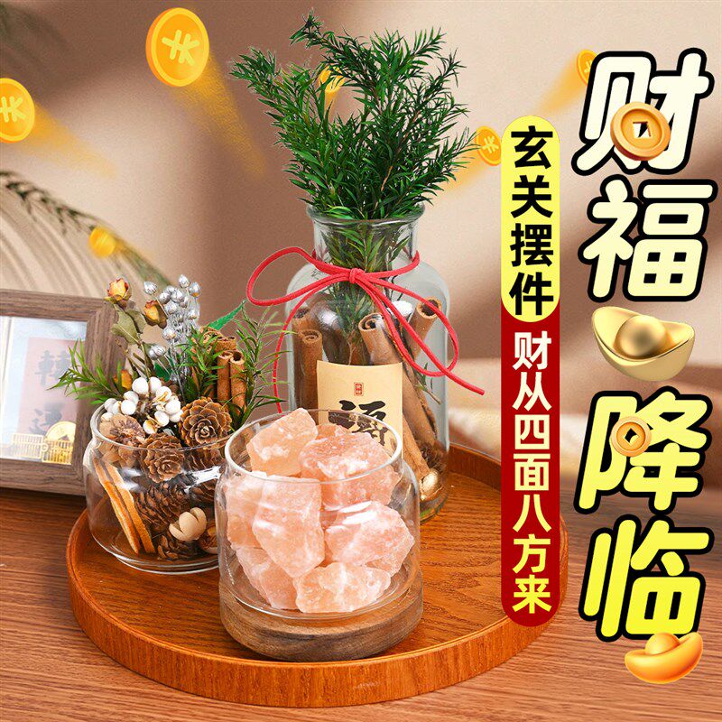 家居玄关入户摆件肉桂生财粗盐净宅大颗粒电视餐边柜招财客厅装饰