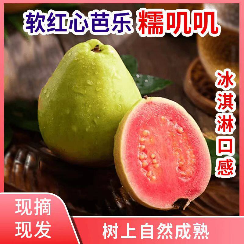 【下单立减50】福建软糯红心芭乐水果软心番石榴奶油新鲜芭乐