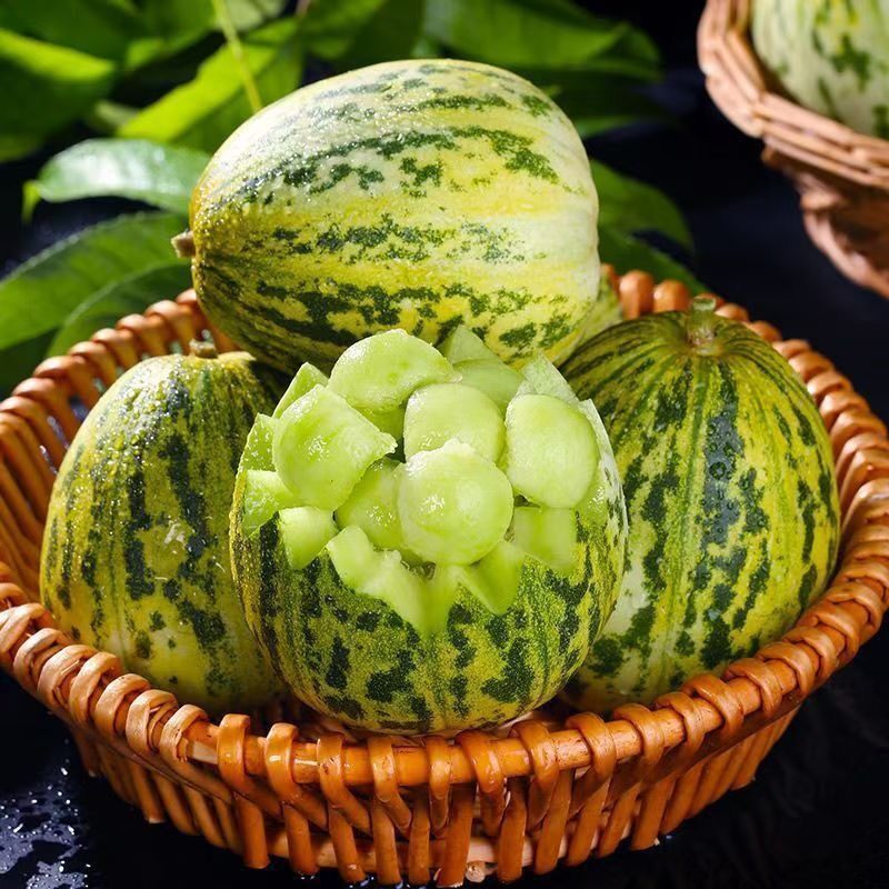 【下单立减50】花蕾香花水果山东花美人新鲜应季甜瓜脆甜香瓜多汁