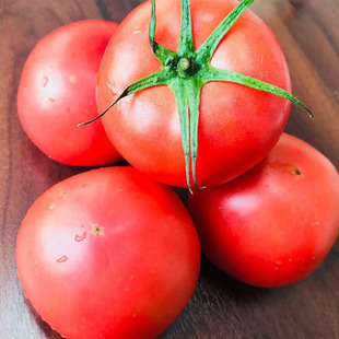 【下单立减50】普罗旺斯西红柿沙瓤西红柿新鲜自然熟生吃沙瓤水果