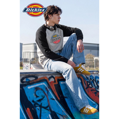 Dickies 男士插肩圆领卫衣26秋季拼色复古休闲上衣  D163MWY46