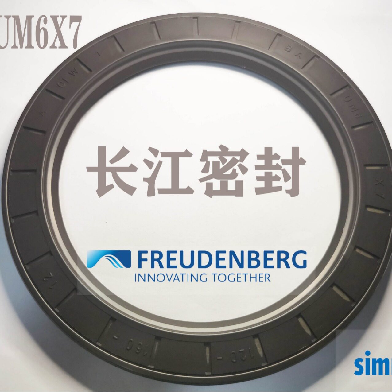 德国 BAUM6X7 骨架油封 氟胶进口油封DIN3760 A 90-120-12 CFW - 实物图